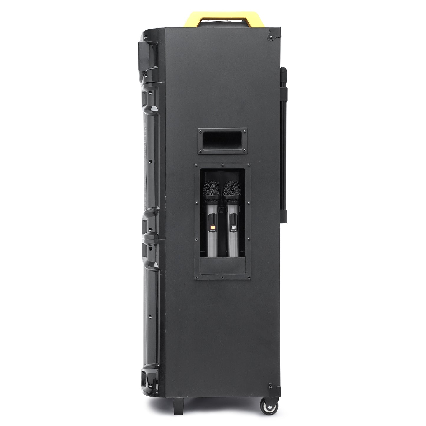 HD-1212AC/DC Professional Trolley Speaker